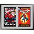 Perfect Cases Perfect Cases DBCMC-CL Double Comic Book Frame with Classic Moulding DBCMC-CL